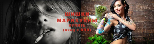мет Инсар