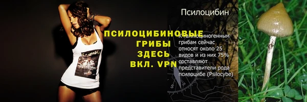 мефедрон Зеленодольск