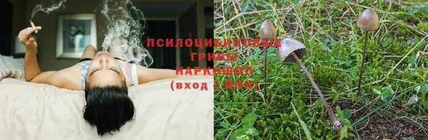 гашиш Зеленокумск